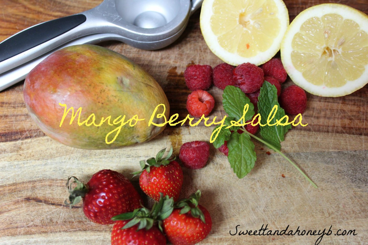 Mango Berry Salsa (With Cinnamon Pita Chips!)